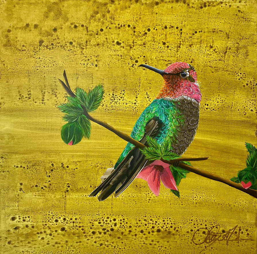 Prints - Ann's Hummingbird