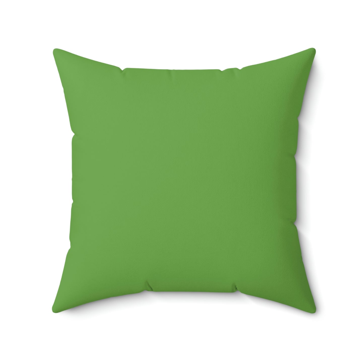 Hummingbird Throw Pillow